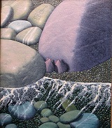 Conchiglie tra i sassi