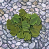 Un Mucchio di Foglie