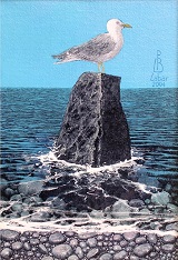 Un Gabbiano sullo Scoglio