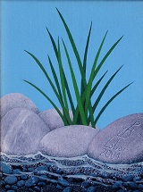 Il piccolo Ciuffo d'Erba