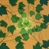 La Luce tra le Foglie