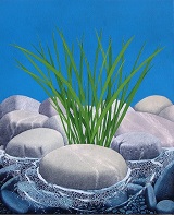 Il Cespuglio tra i Sassi