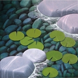 Lo Stagno delle Ninfee