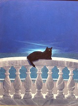 La pietra e il marmo