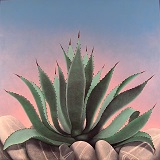 La pietra e il marmo