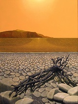 La Pianta spiaggiata