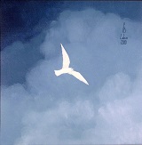 Undecimo gabbiano per Moby Dyck