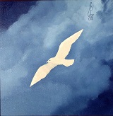 Dodicesimo gabbiano per Moby Dyck