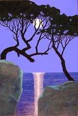 Vereconda luna in notte silente